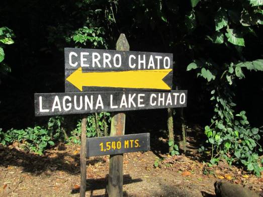 A sign featuring the Cerro Chato Trail.
